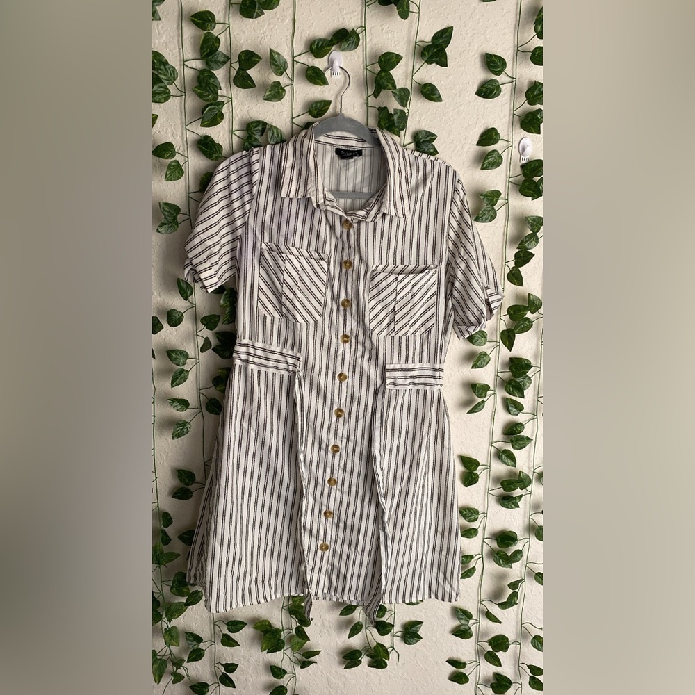 Striped Button-Down Dress